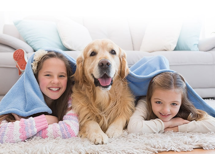 Professiona cleaning service Atlanta | CleaningPlusLLC
